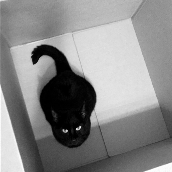 Meet ur Posher: Queenuveverything ~ Style Connoisseur Dallas Tx - Picture 3 of 4